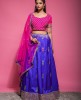 Purple & Pink traditional Skirt & Top