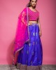 Purple & Pink traditional Skirt & Top