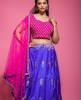 Purple & Pink traditional Skirt & Top