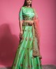 Jade Green Lehenga & Blouse with Net Dupatta