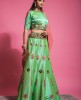 Jade Green Lehenga & Blouse with Net Dupatta
