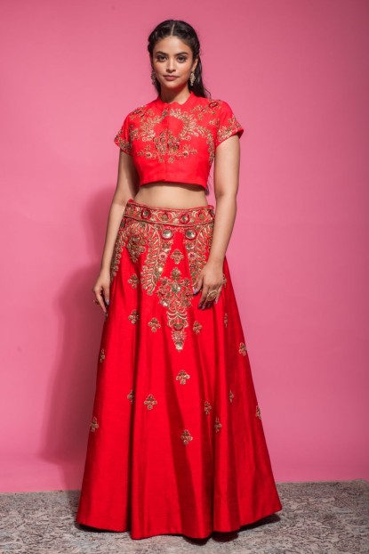 Gorgeous Red Skirt with heavy Blouse