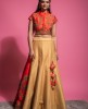 Red & Buff Beige  Traditional Blouse & Skirt
