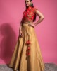 Red & Buff Beige  Traditional Blouse & Skirt