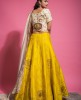 Mustard & Beige Raw Silk Blouse & Skirt with Organza Dupatta