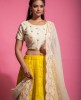 Mustard & Beige Raw Silk Blouse & Skirt with Organza Dupatta