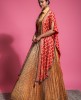  Heavy Ethnic Blouse & Skirt with Patola Dupatta