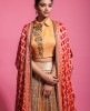  Heavy Ethnic Blouse & Skirt with Patola Dupatta