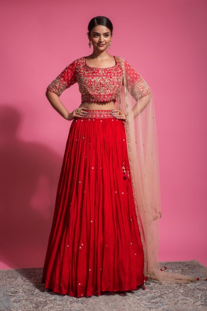 Heavy Blouse with Classy Skirt in Red color