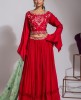 Red heavy Blouse & Georgette Skirt with Organza Dupatta