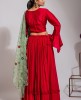 Red heavy Blouse & Georgette Skirt with Organza Dupatta