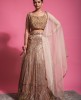 Multi colored sequins Golden Top & Skirt with Dupatta