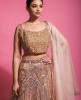 Multi colored sequins Golden Top & Skirt with Dupatta