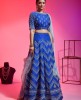 Royal Blue Raw Silk Lehenga Choli With Hand Work
