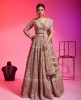 Chiku Color Net Lehenga Choli With Sequins and Moti Work 