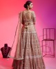 Chiku Color Net Lehenga Choli With Sequins and Moti Work 