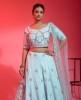 Sea Green Lehenga Choli In Raw Silk With Floral Hand Work