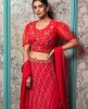 Red Crop Top Set with Dupatta