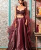 Heavy Crop Top Set with Dupatta in Chestnut Brown