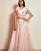Light Pink Crop Top Set with attached Dupatta