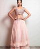 Crop Top with Skirt in Light Peach color