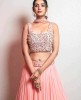 Heavy Crop Top with Simple Skirt and Dupatta in Peach color