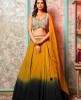 Mehendi and Dark Green Ombre Crop Top Set in Silk