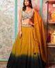 Mehendi and Dark Green Ombre Crop Top Set in Silk