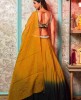 Mehendi and Dark Green Ombre Crop Top Set in Silk
