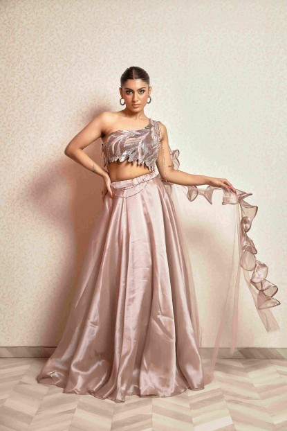 Rosy Brown Crop Top Set in Organza