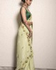 Foam Green color Saree in Dola Silk